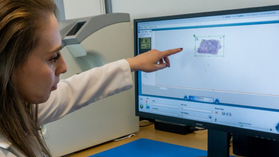 image of a woman using a computer