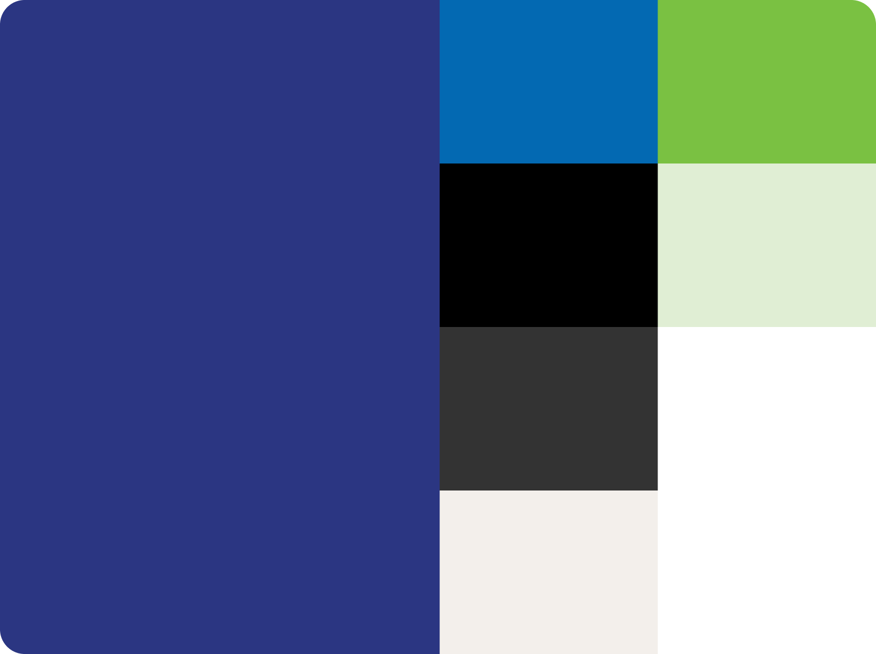 Biomedit brand colour blocks