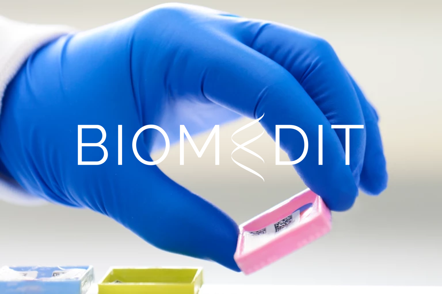 BioMedit brand logo overlay on biomedical image