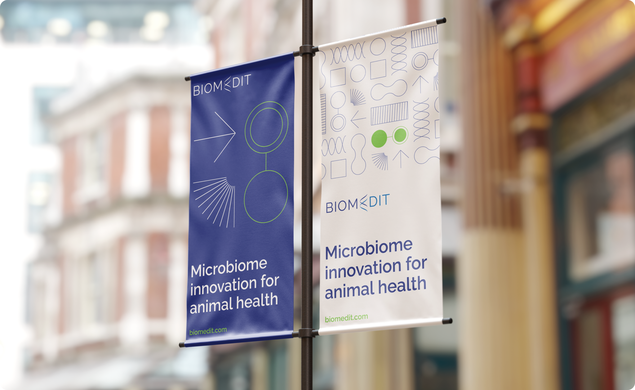 Biomedit Street Banner